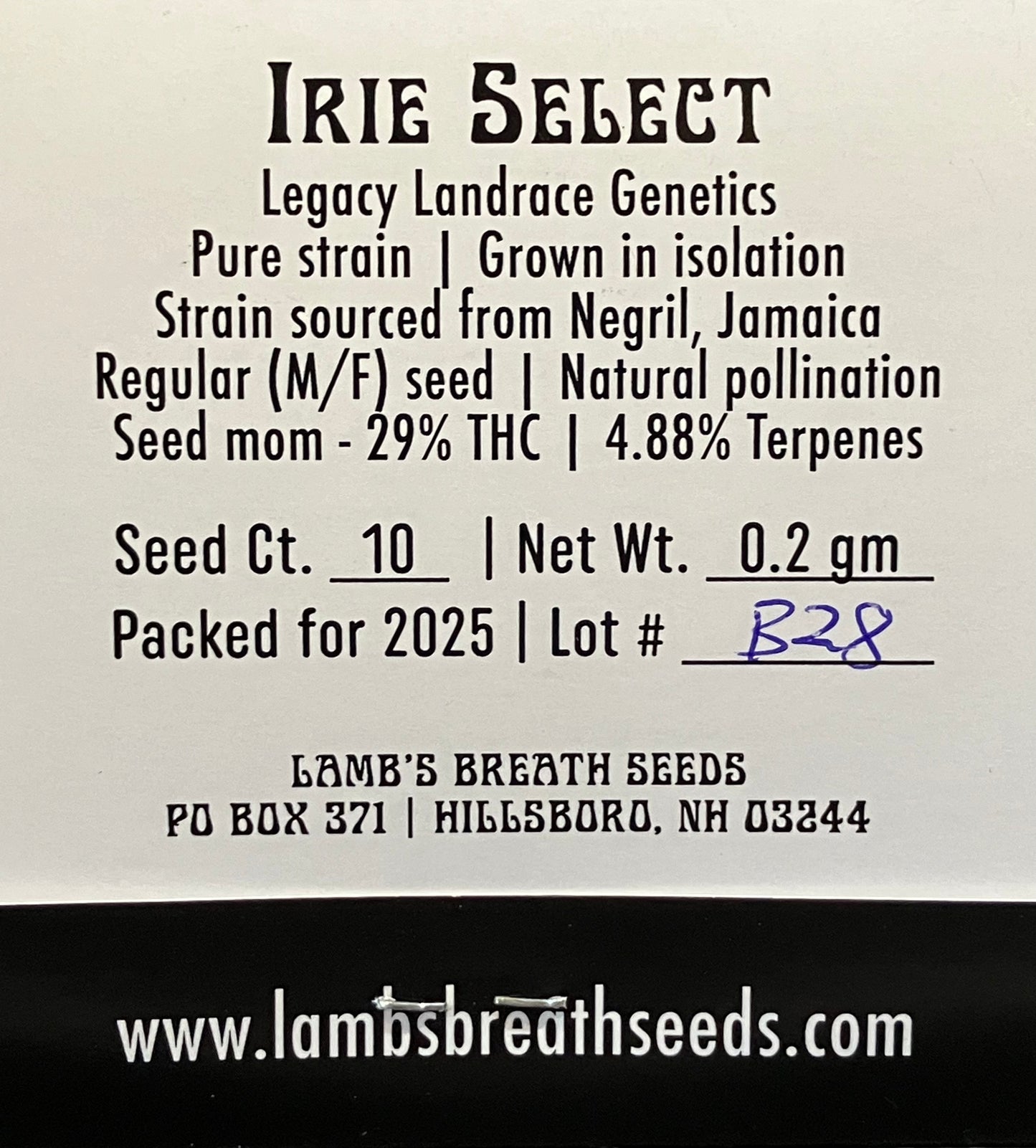 Close-up of Lamb’s Breath Irie Select cannabis seeds – heirloom Jamaican landrace sativa strain known for high THC, red stems, and spicy floral buds.