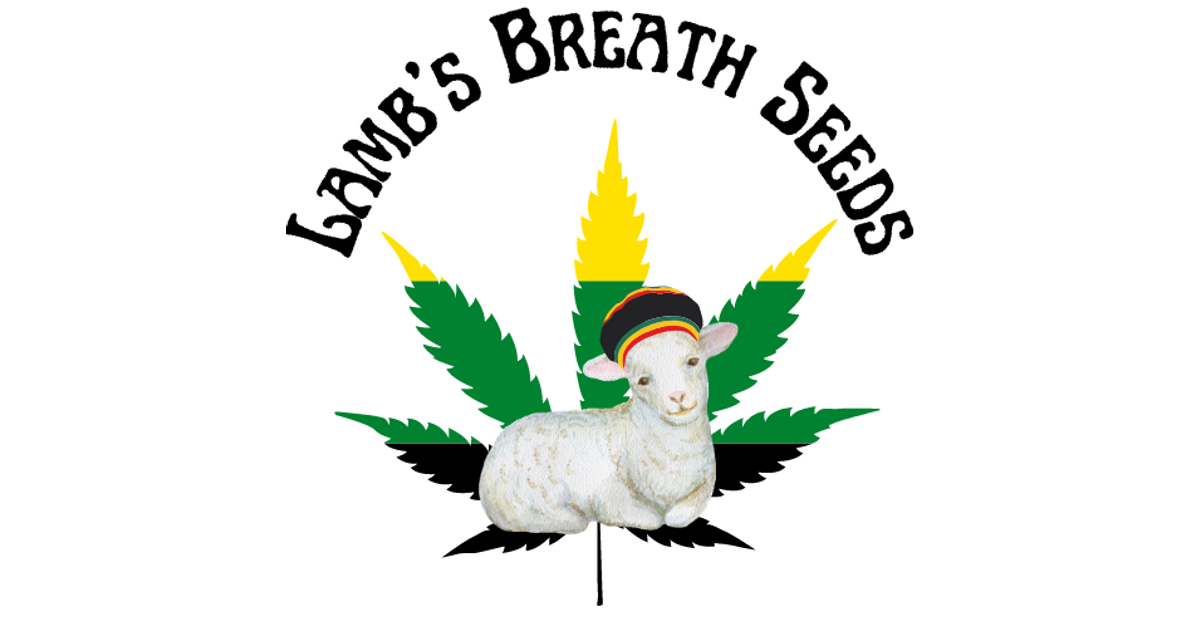 Lamb_s_Breath_Logo.png?height=