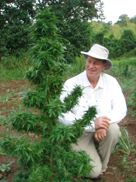 Vermont Cannabis Convention