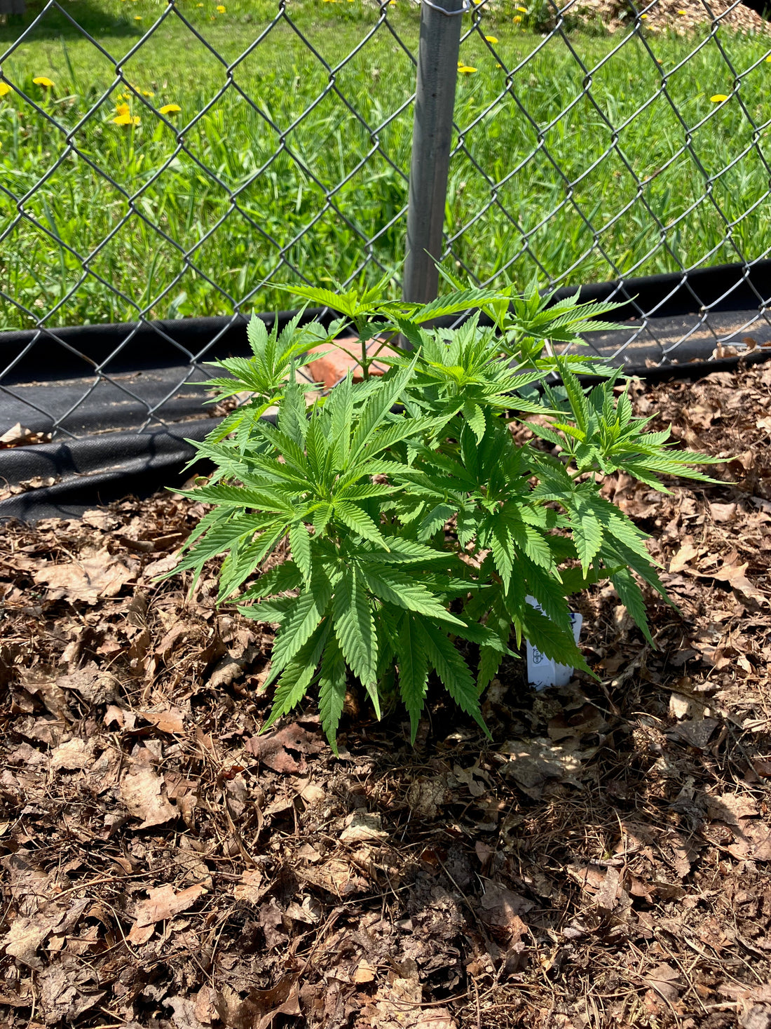 Keep Seeds Legal message from NASC