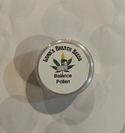 New Drop - Balance Pollen - Supply Limited