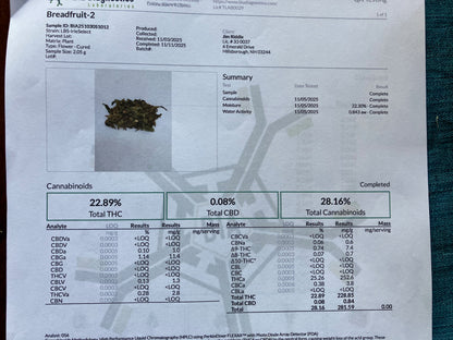 Lamb's Breath Breadfruit