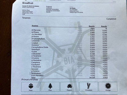 Lamb's Breath Breadfruit
