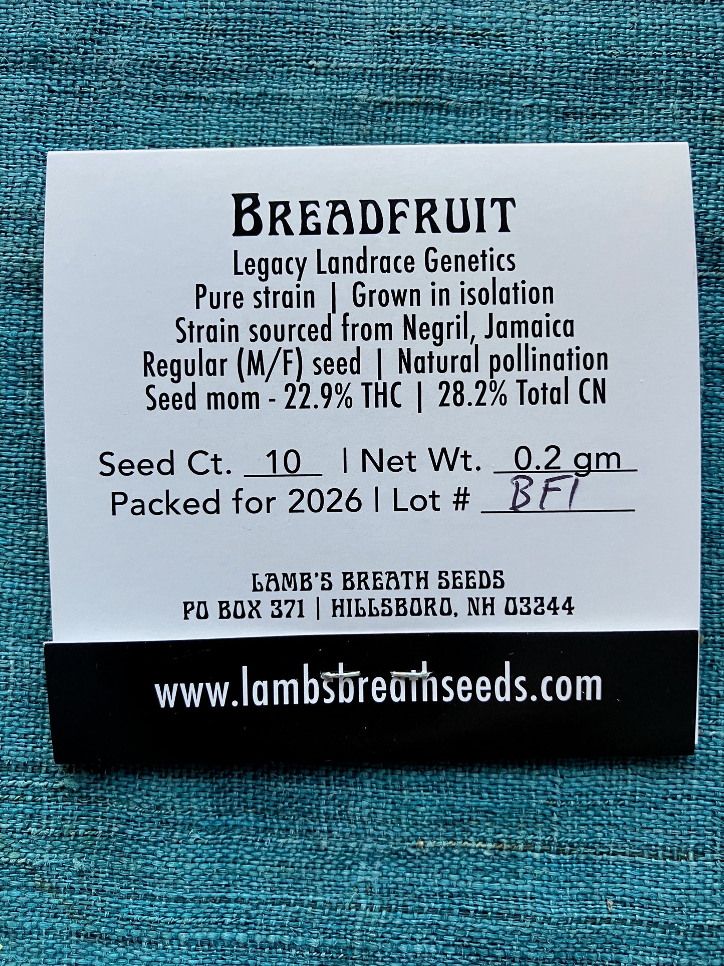 Lamb's Breath Breadfruit