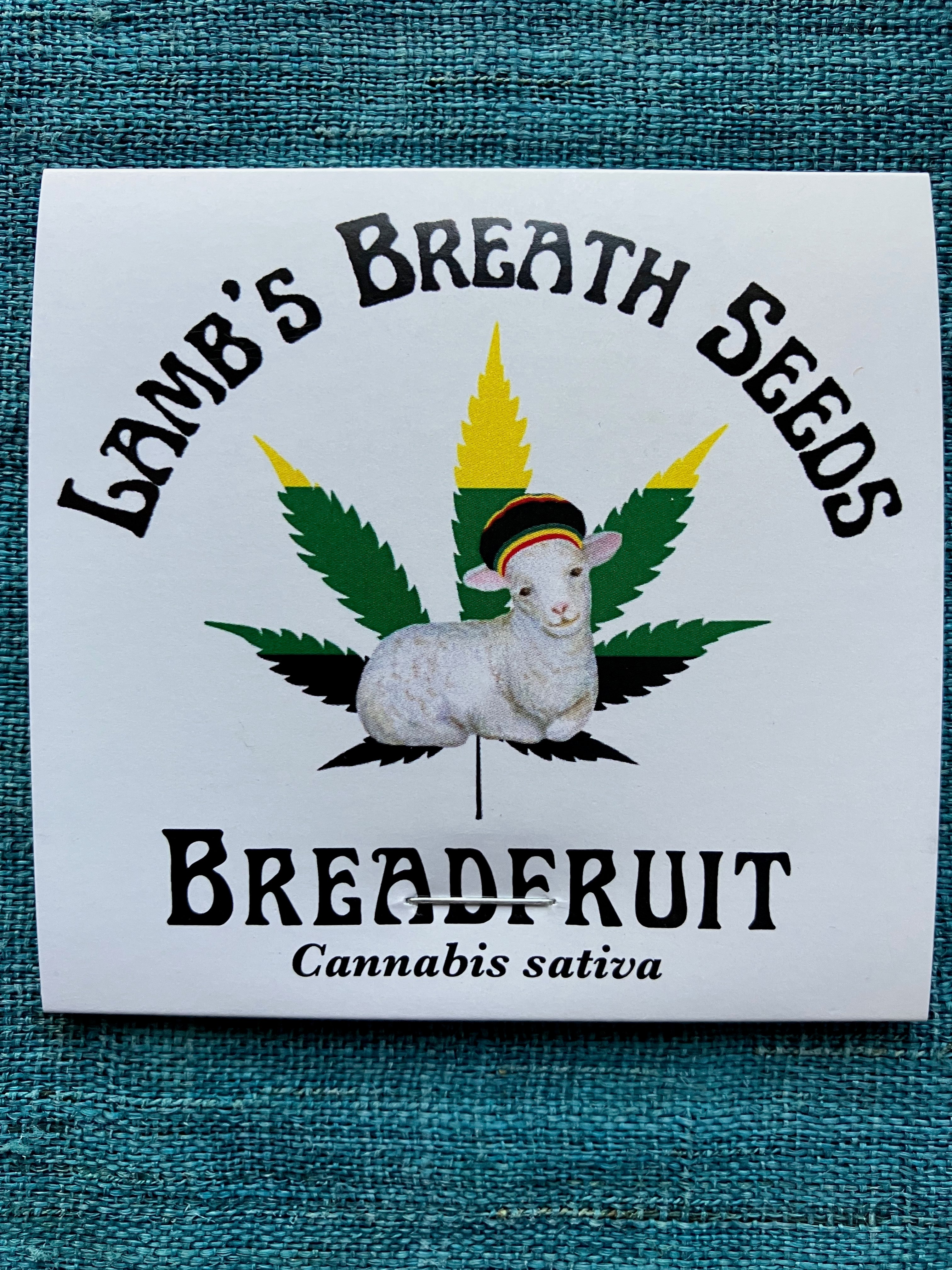 Lamb's Breath Breadfruit Cannabis Seeds – Lamb's Breath Seeds