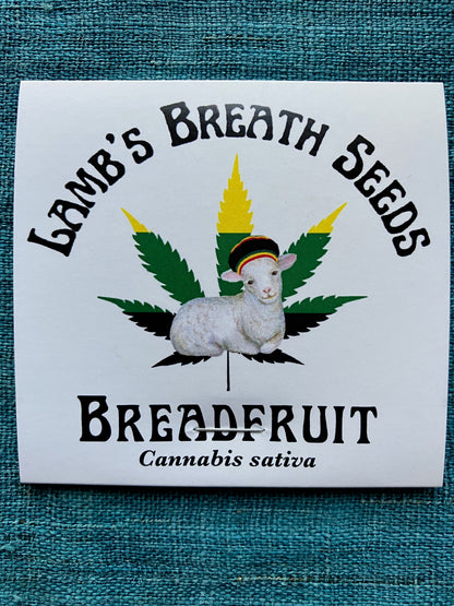 Lamb's Breath Breadfruit