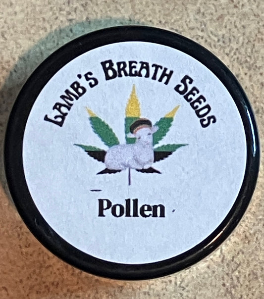 Lamb's Breath Pollen