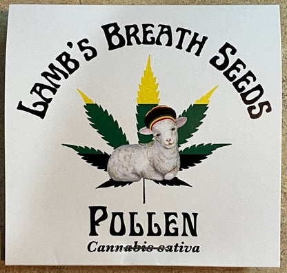 Lamb's Breath Pollen