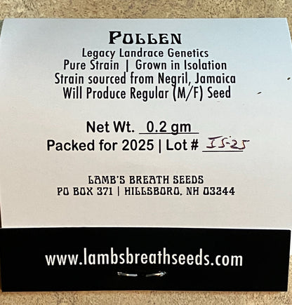 Lamb's Breath Pollen