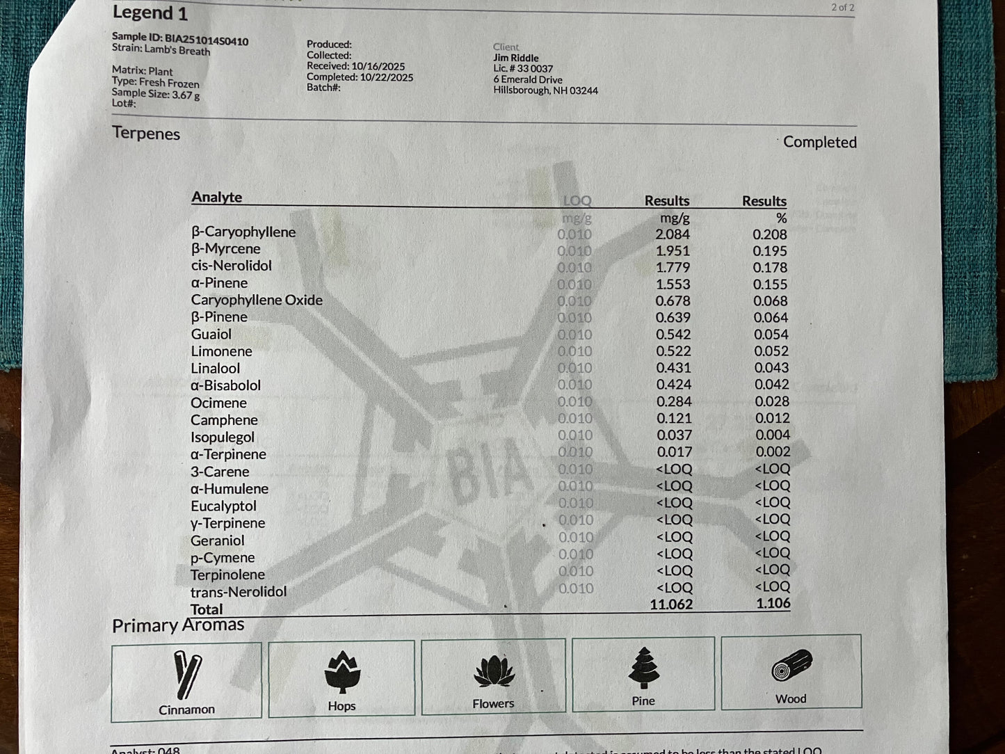 Lamb's Breath Legend seeds