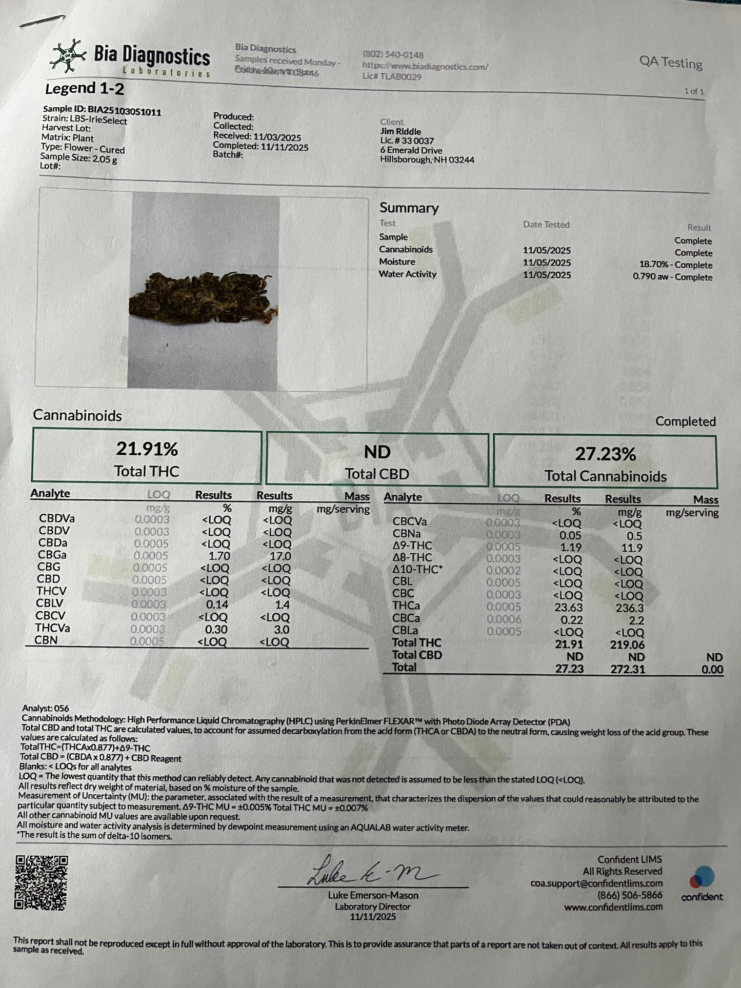 Lamb's Breath Legend seeds