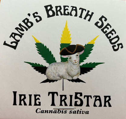 Irie TriStar