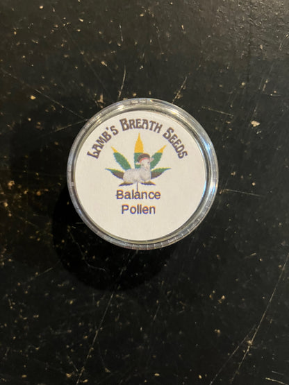 New Drop - Balance Pollen - Supply Limited