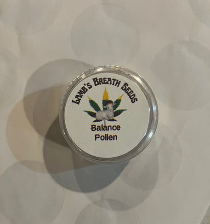 New Drop - Balance Pollen - Supply Limited