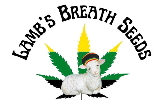 Maine Expo Special 1