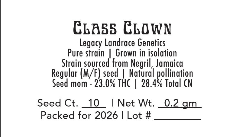 Class Clown