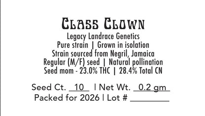 Class Clown